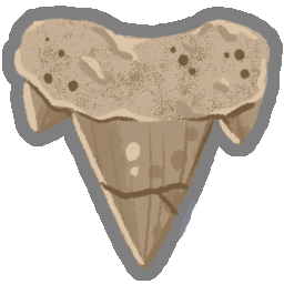 Archaic Tooth