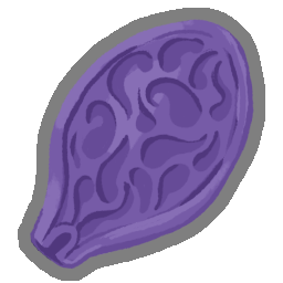 Ghost Seed