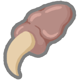 Pael's Claw